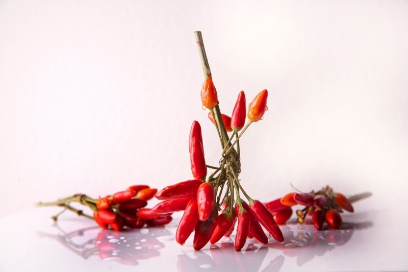 chili-spice-chili-peppers-red-sharp-food